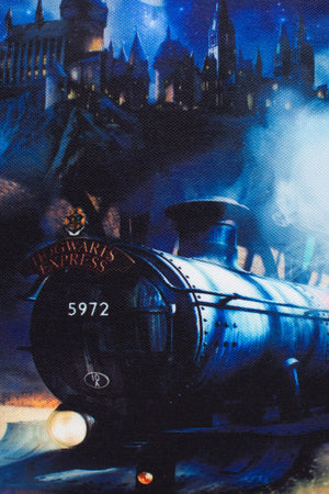 Harry Potter X Hype. Hogwarts Express Lunch Box