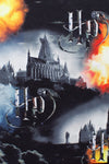 Harry Potter X Hype. Hogwarts Fire Lunch Box